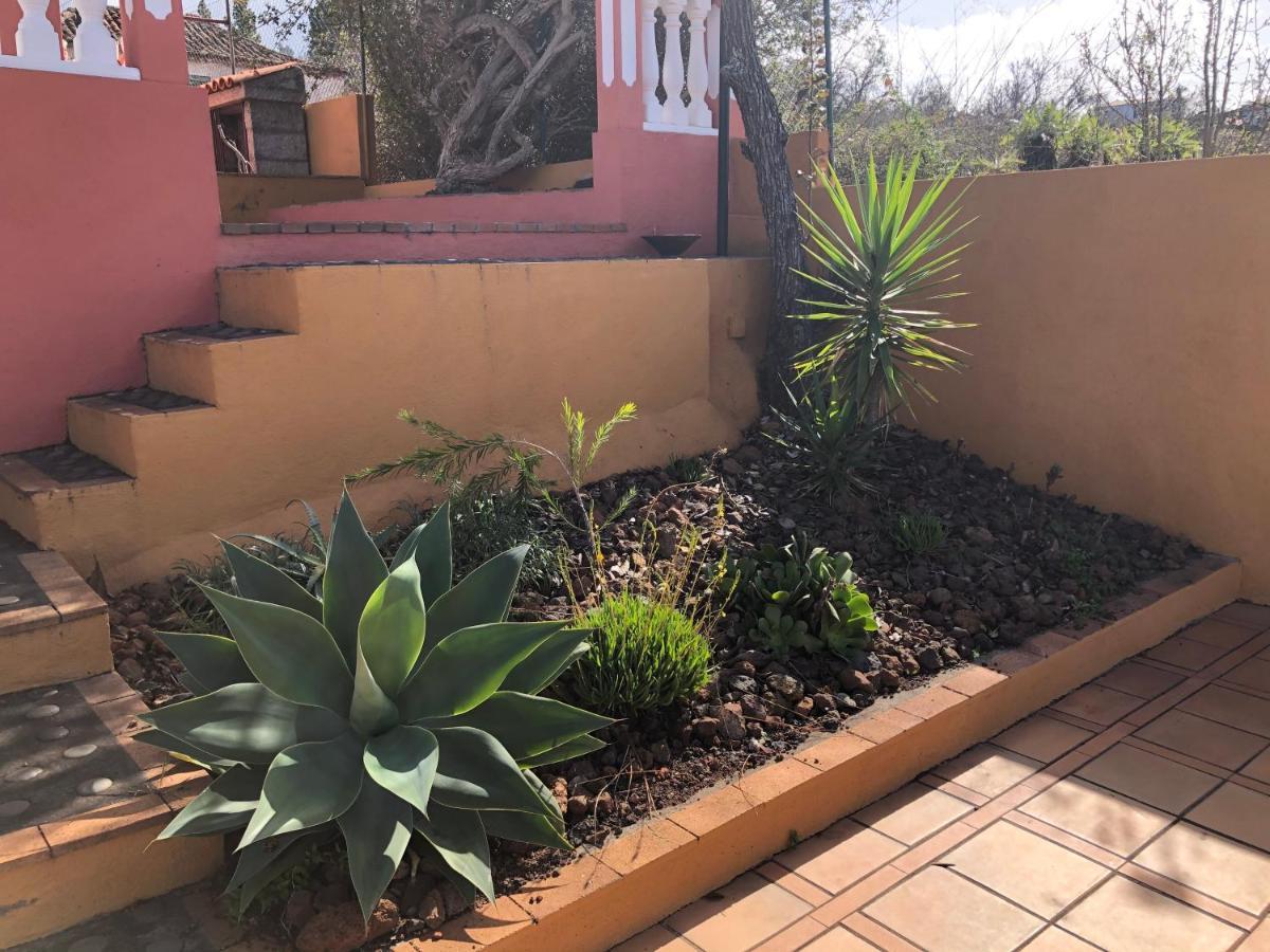 Casa Cesar Villa Puntagorda  Luaran gambar